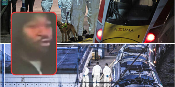 “Hij stak een jongen (14), viel een kapper aan en eindigde in een bloedbad: de waanzin van Anthony Williams (32)”