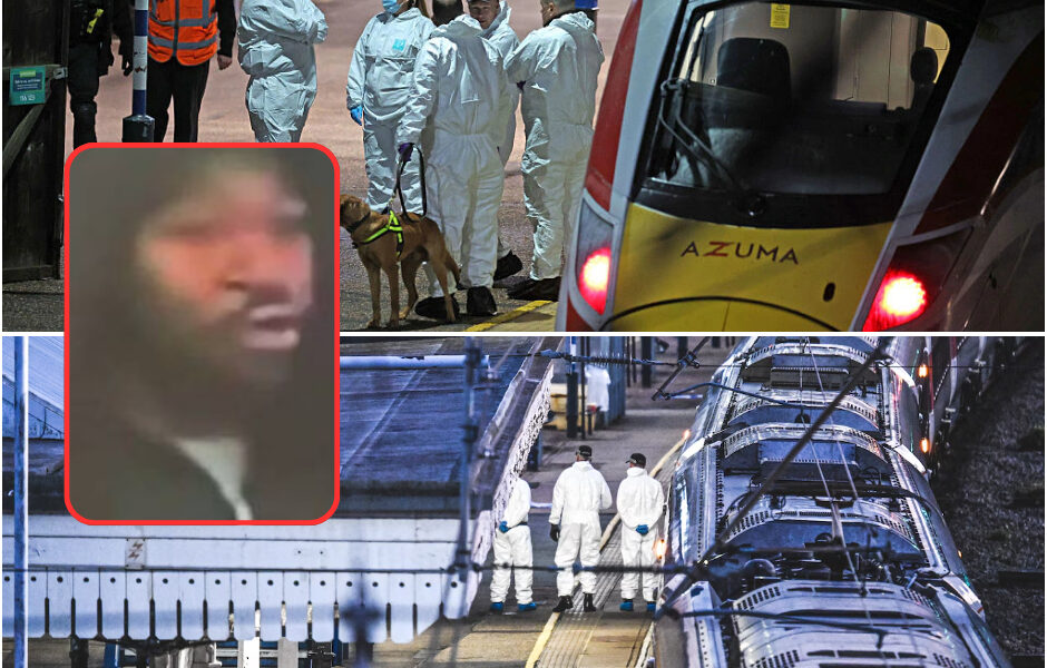 “Hij stak een jongen (14), viel een kapper aan en eindigde in een bloedbad: de waanzin van Anthony Williams (32)”