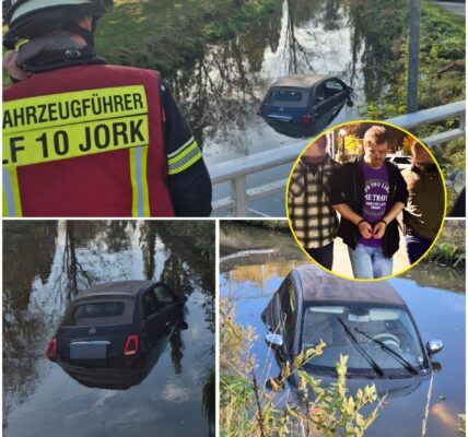 Fahranfängerin schiebt Seniorin (81) ins Wasser – Anwohner retten Frau aus sinkendem Auto