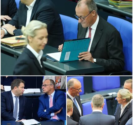 Union und AfD wieder gleichauf – Dramatische Wende laut INSA-Umfrage