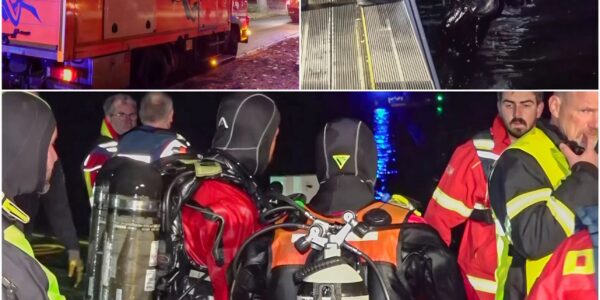 🔥 Tragedy on the Alster: Police Jump Into Ice-Cold Water to Save a Stranger — But What They Found Left Hamburg Speechless 😔💔