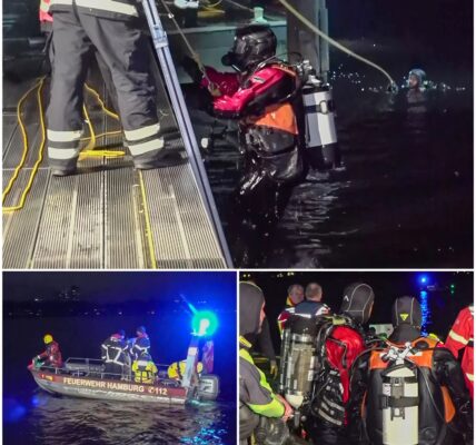 Tragödie an der Außenalster: Polizisten springen ins Wasser – doch jede Hilfe kommt zu spät