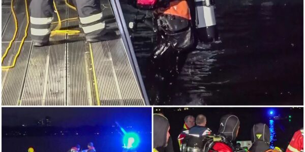 Tragödie an der Außenalster: Polizisten springen ins Wasser – doch jede Hilfe kommt zu spät