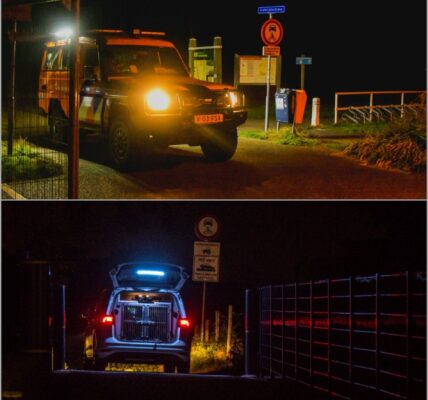 Vrouw verdwijnt op mysterieuze wijze – en de zee onthult uiteindelijk de hartverscheurende waarheid… 💔👇