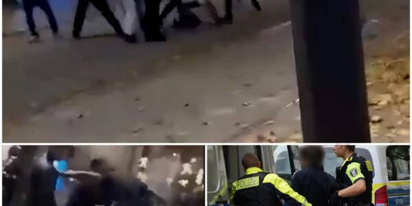 Gewaltexzess in Hamburg-Altstadt: Tritte gegen Kopf – Gruppe attackiert Wehrlosen und flieht nach banalem Streit