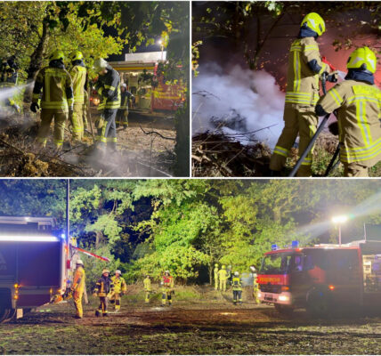 Elfjähriges Mädchen verhindert Waldkatastrophe – Jugendfeuerwehr-Mitglied entdeckt Brand vom Kinderzimmer aus