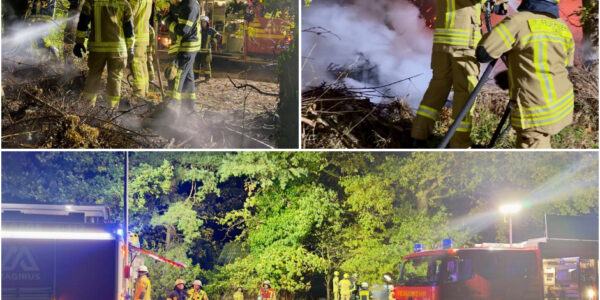 Elfjähriges Mädchen verhindert Waldkatastrophe – Jugendfeuerwehr-Mitglied entdeckt Brand vom Kinderzimmer aus
