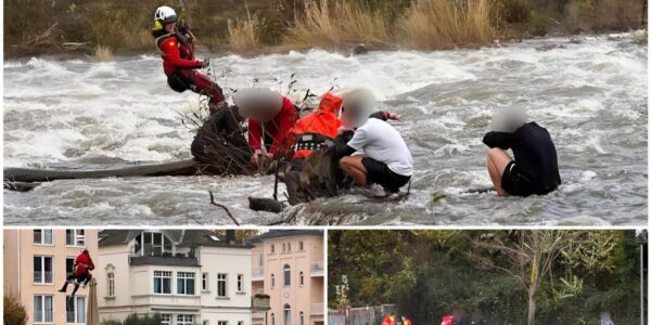Großeinsatz in Bad Kreuznach: Schüler kentern mit Kanu – Fünf Jugendliche gerettet