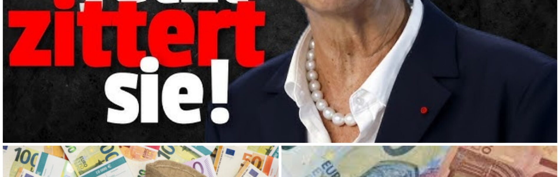 EZB warnt vor digitalen Ausfällen: Bürger sollen Bargeld für 72 Stunden bereithalten