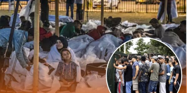 Ter Apel kookt over — weer boetes, weer volle zalen, en weer dezelfde beloftes 💥🏚️