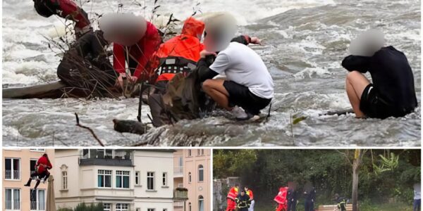 Dramatischer Schulunfall auf der Nahe: Kanu-Übung endet fast tödlich – fünf Schüler kämpfen ums Überleben, 50 Retter im Großeinsatz 🚨🌊