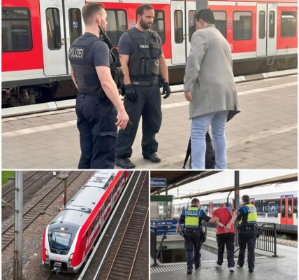 Chaos in der S‑Bahn Barmbek: Frau belästigt Fahrgäste und zieht Notbremse – Bundespolizei im Einsatz