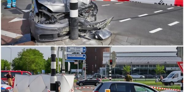 drie jaar later zoekt de rechtbank naar antwoorden — “Hij had groen, maar werd doodgereden”