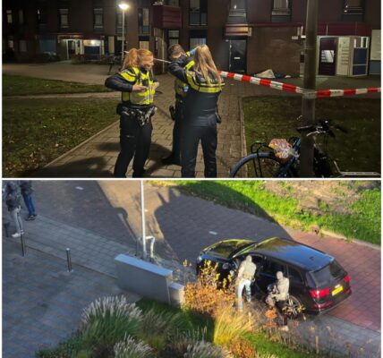 DSI bestormt flat in Amstelveen: 21-jarige Amsterdammer opgepakt bij politieactie
