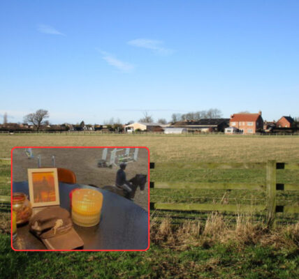 Jonge vrouw (22) zwaargewond na tragisch ongeval met paard in Sint-Katelijne-Waver: “Een moment van onoplettendheid veranderde alles”