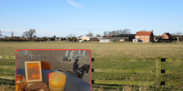 Jonge vrouw (22) zwaargewond na tragisch ongeval met paard in Sint-Katelijne-Waver: “Een moment van onoplettendheid veranderde alles”