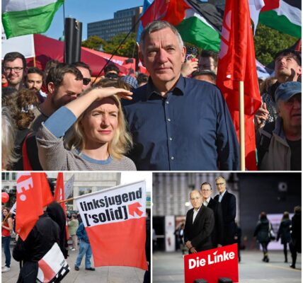 Eklat in der Linkspartei: Streit um israelfeindliche Beschlusse der Linksjugend spaltet die Partei