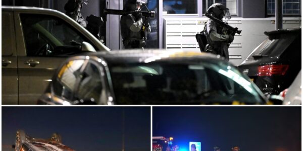 Dodelijk ongeval op A2 bij Culemborg: paard doodgereden, auto belandt op zijn kop