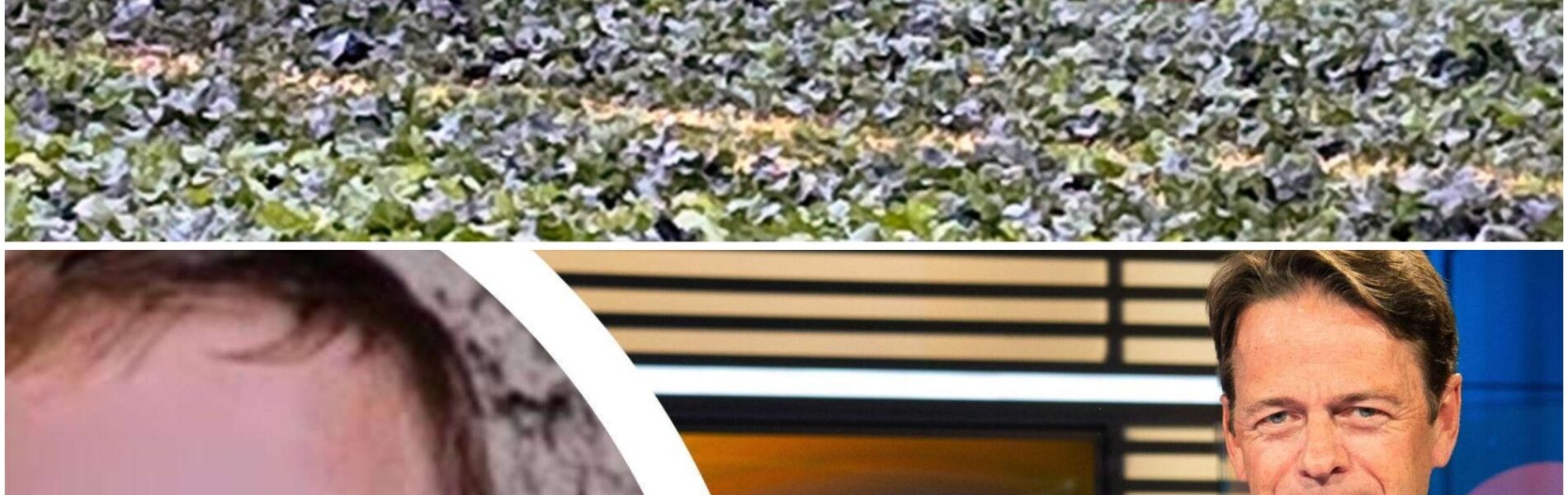 FALL FABIAN (†8) – DAS FOTO, DAS ALLES ÄNDERN KÖNNTE?