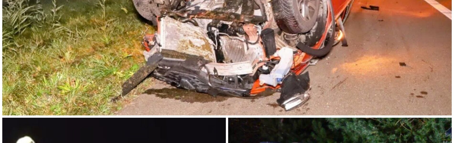 Ravage op snelweg A2: Aanrijding met paard laat automobilisten op het nippertje vrij!