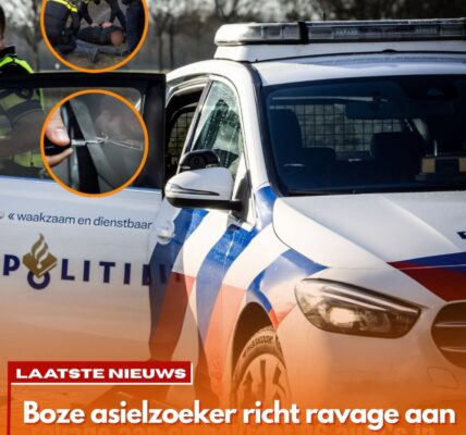 Politie onderzoekt reeks vernielingen: 86 auto’s bekrast door één verdachte