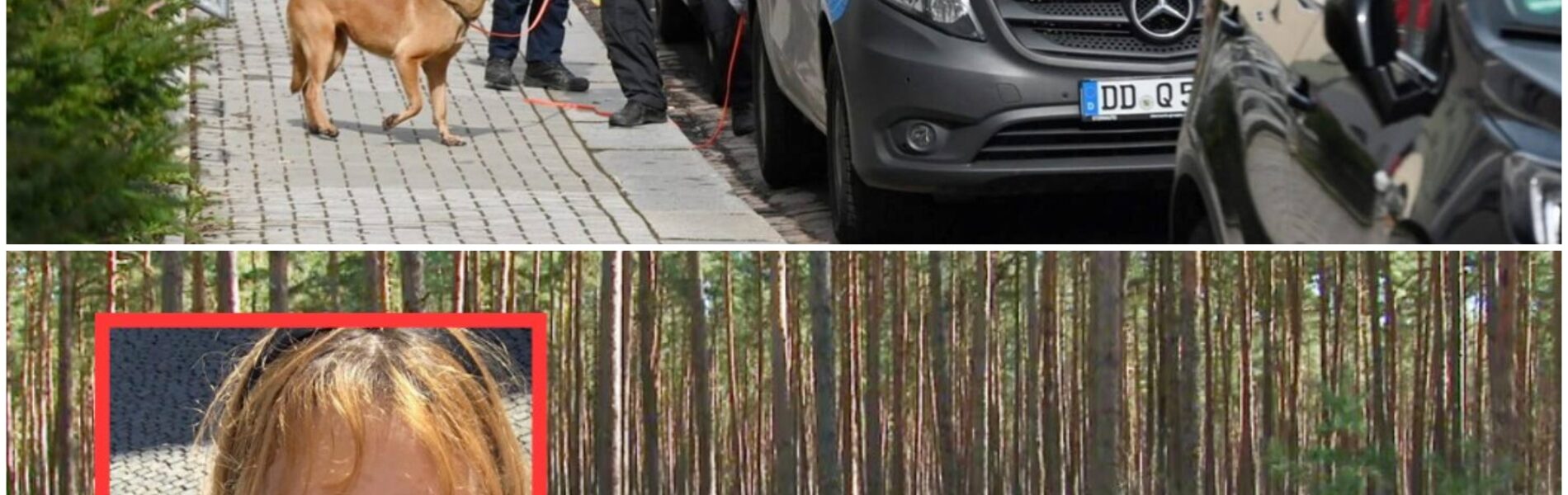 💔13-Jährige spurlos verschwunden – Rätsel um ihr letztes Lebenszeichen schockiert alle!💔