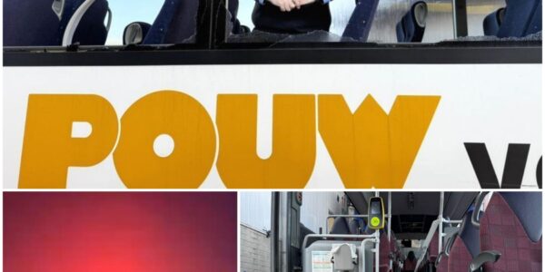 Aanhang FC Porto richt ravage aan in Utrecht: acht bussen vernield, chauffeurs zwaar getraumatiseerd