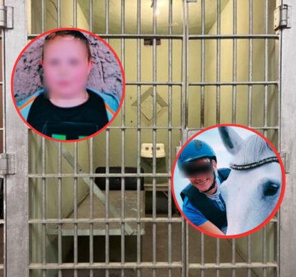 Warum musste der Junge sterben? - Mordfall Fabian: Ex-Partnerin des Vaters unter Verdacht