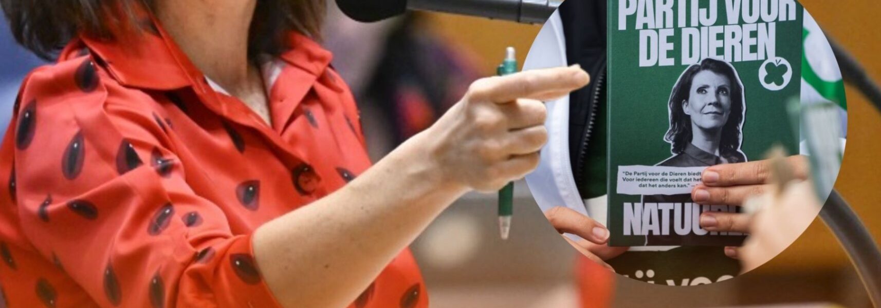 Machtsstrijd binnen Partij voor de Dieren: fractie valt uiteen in twee kampen