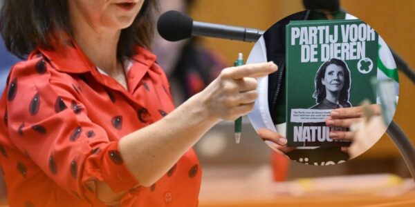 Machtsstrijd binnen Partij voor de Dieren: fractie valt uiteen in twee kampen