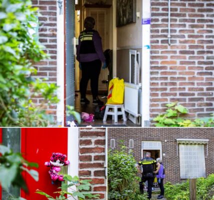 Pleegmeisje Vlaardingen kan niet zelf naar de wc: 'Geen vooruitgang zichtbaar'