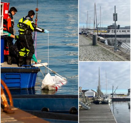 Twee lichamen gevonden in Amsterdam: één in boot aan Borneokade, één in het water bij Nieuwendammerdijk