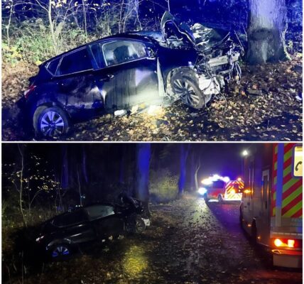 Schwerer nächtlicher Unfall in Paderborn: Auto prallt gegen Baum – zwei Insassen schwer verletzt, Polizei untersucht Unfallursache