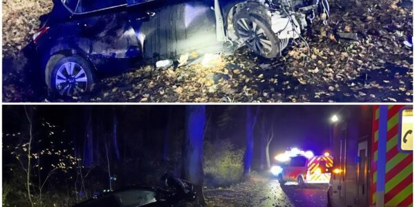Schwerer nächtlicher Unfall in Paderborn: Auto prallt gegen Baum – zwei Insassen schwer verletzt, Polizei untersucht Unfallursache