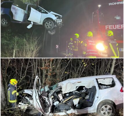 Jonge bestuurder (17) raakt zwaar gewond na frontale botsing tegen boom in Ulrichsberg – grootschalige reddingsactie in de nacht