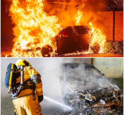 Audi brandt volledig uit in Oss – politie onderzoekt mogelijke brandstichting