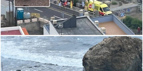 Drie doden en vijftien gewonden door enorme golven op Tenerife: Nederlandse vrouw (79) komt om