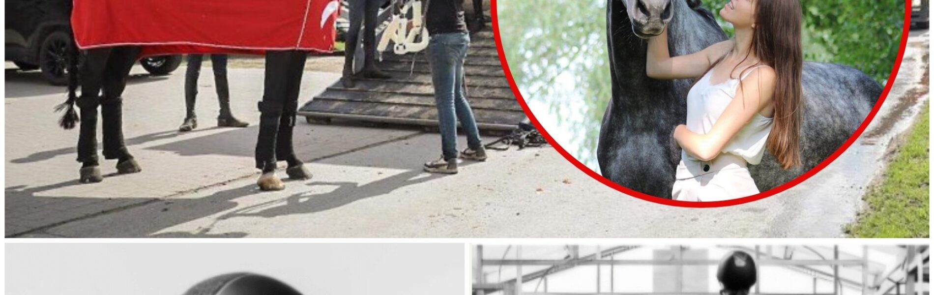 Jill (22) uit Berlaar overleden na stamp van paard op manege: “Hartverscheurend nieuws”