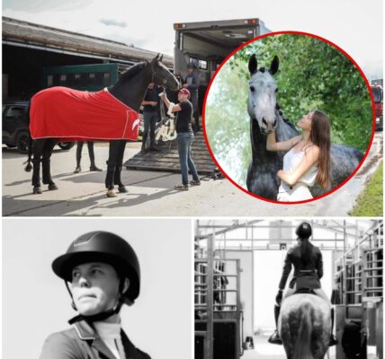 Jill (22) uit Berlaar overleden na stamp van paard op manege: “Hartverscheurend nieuws”