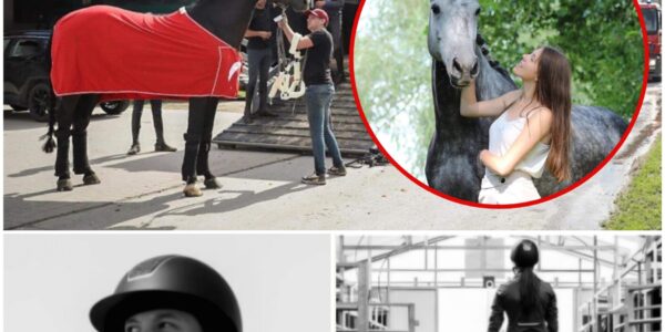 Jill (22) uit Berlaar overleden na stamp van paard op manege: “Hartverscheurend nieuws”