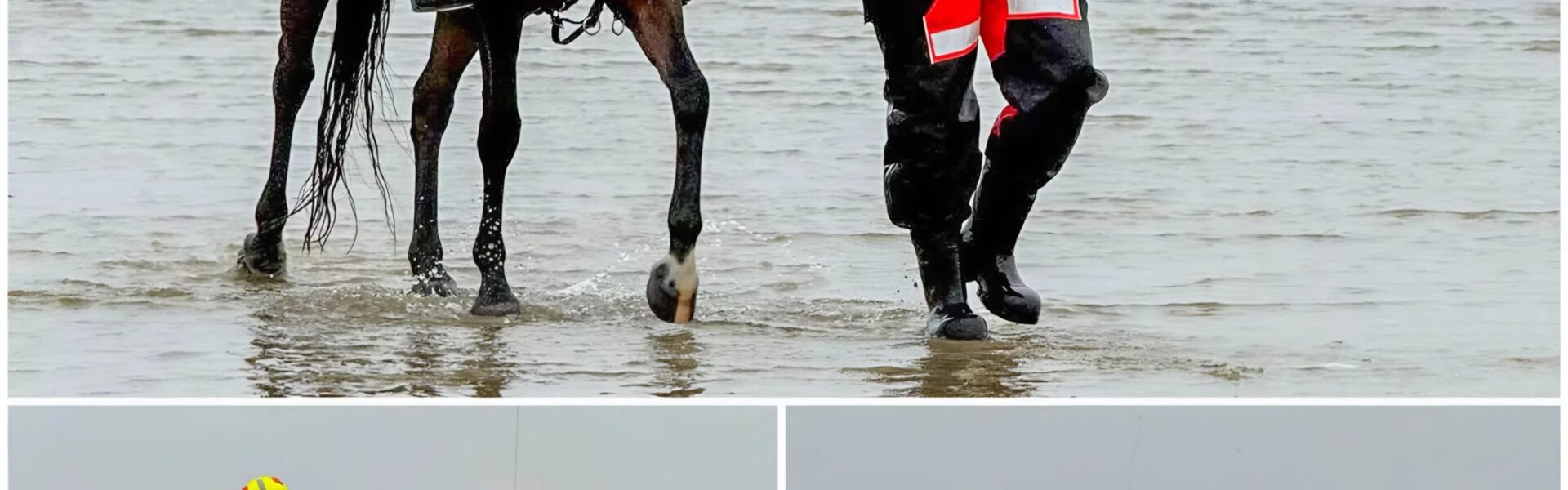 Reiterin und Pferd von Wasser eingeschlossen: Dramatische Rettung an der Nordsee