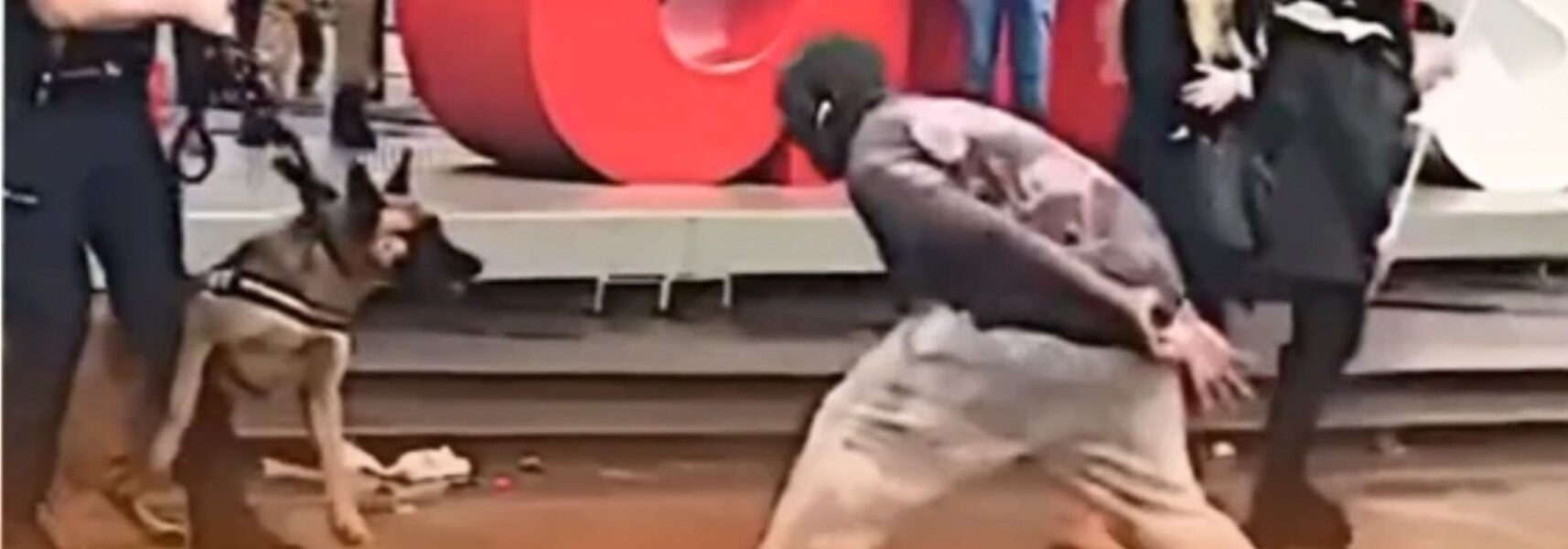 Hij dacht dat hij stoer was — tot de politiehond hem iets anders leerde