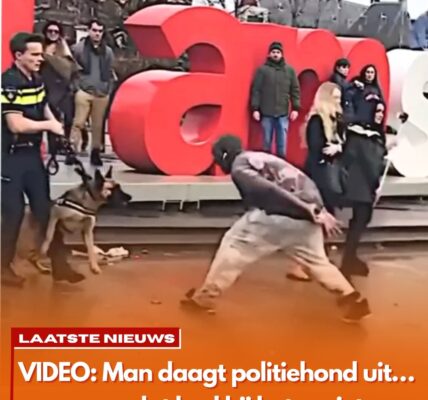Hij dacht dat hij stoer was — tot de politiehond hem iets anders leerde