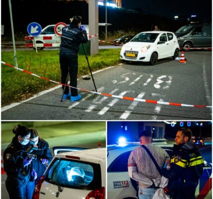 Vrouw (24) doodgeschoten op Kralingseplein in Rotterdam – verdachte (28) aangehouden