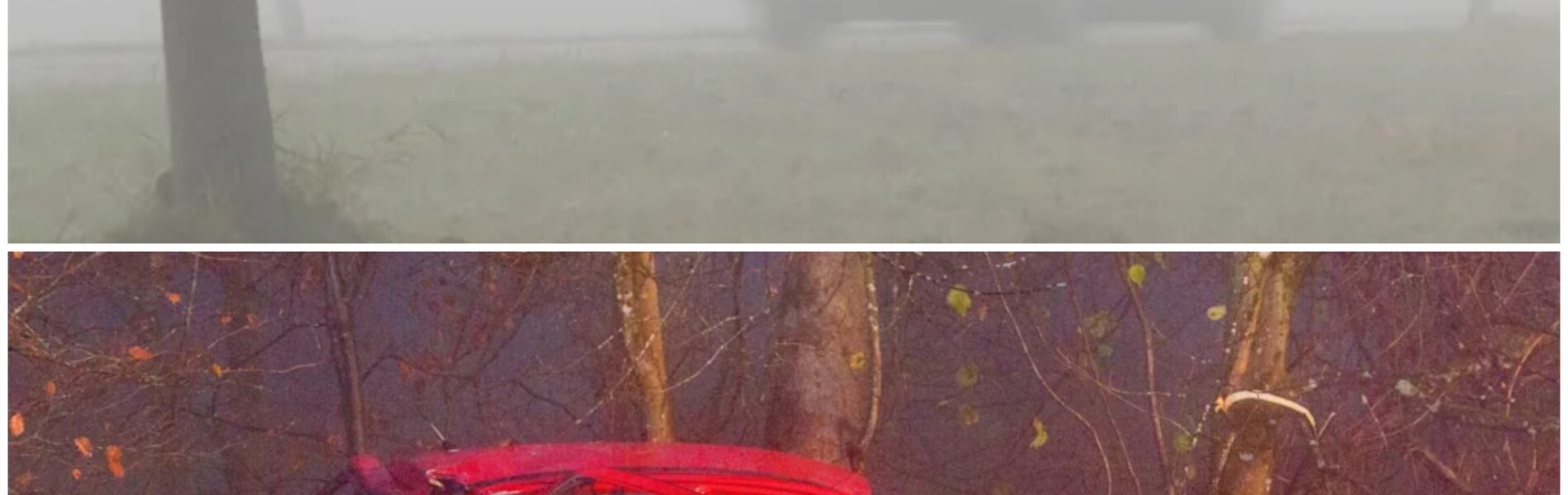 Dramatischer Unfall im Nebel: Mutter lebensgefährlich verletzt – Tochter (9) wird Zeugin des Unglucks