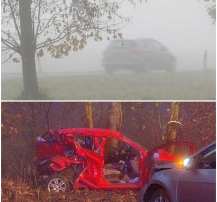 Dramatischer Unfall im Nebel: Mutter lebensgefährlich verletzt – Tochter (9) wird Zeugin des Unglucks