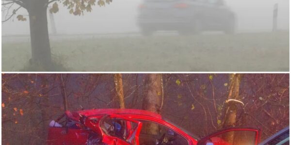 Dramatischer Unfall im Nebel: Mutter lebensgefährlich verletzt – Tochter (9) wird Zeugin des Unglucks