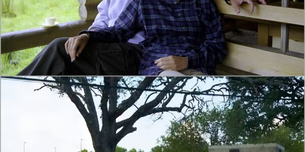 Ghislaine Maxwell ervaart “meer geluk” na overplaatsing naar minder strenge gevangenis in Texas