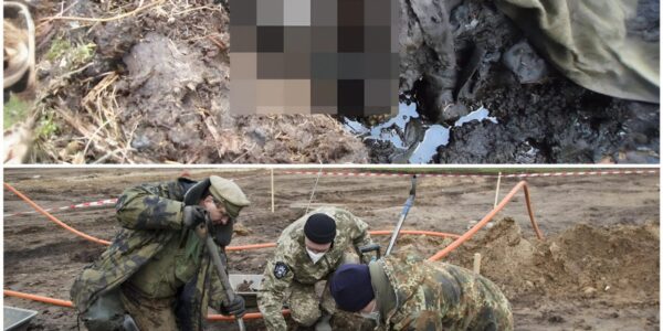 Erschutternder Fund in Lettland: Archäologen entdecken die Überreste eines deutschen Soldaten aus dem Zweiten Weltkrieg – nach uber 80 Jahren im Moor verborgen.H