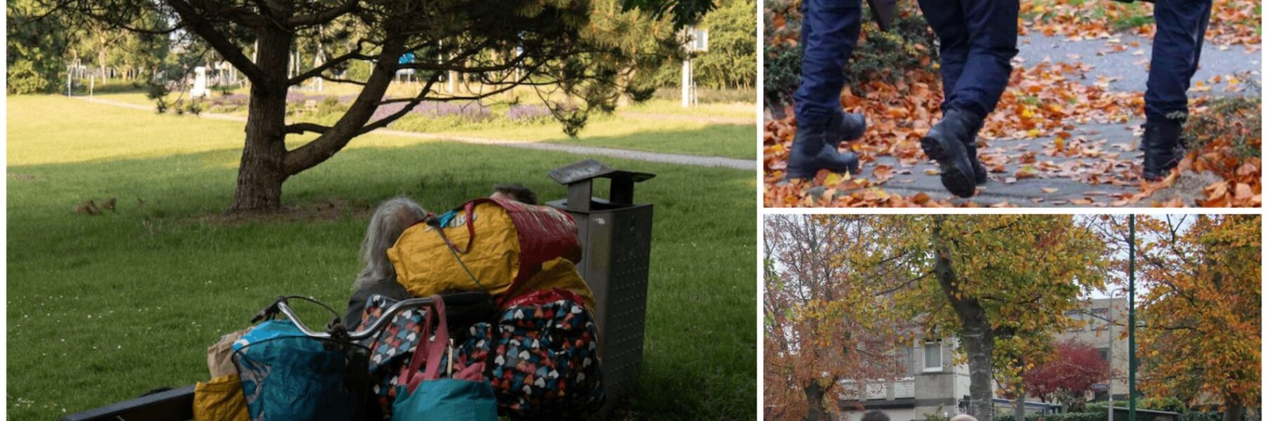 Vrouw dood gevonden in parkje in Oss – dag eerder zocht ze nog hulp: ‘Achteraf denk je, hadden we haar maar in huis genomen’